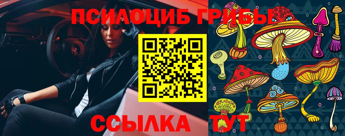 Галлюциногенные грибы мицелий Славянск-на-Кубани